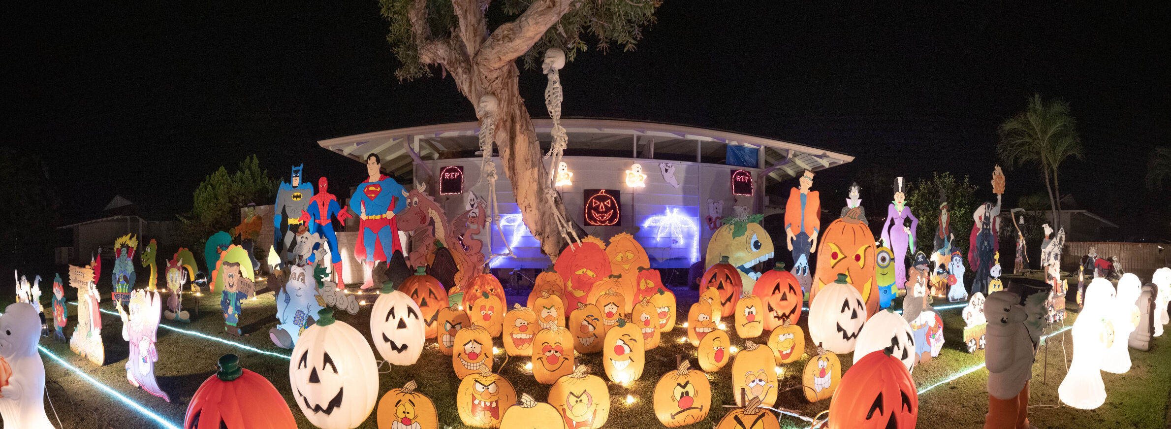 32_Halloween 2020_10-24-20.JPG